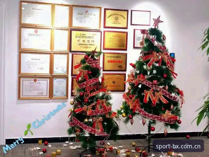 博喜体育平台收费模式深度分析与全面评测：BXSPORTS是否物有所值？
